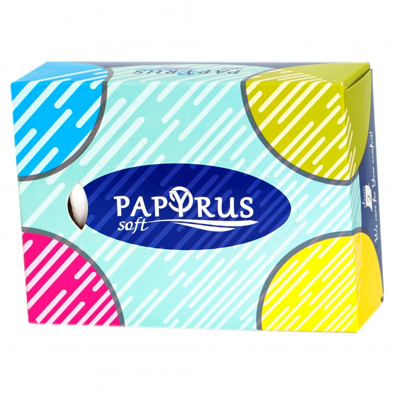 Անձեռոցիկ Papyrus 60հտ 2շ քաշ