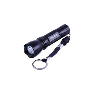 Լապտեր ձեռքի AG253-37-18 լուսադիոդային (LED)