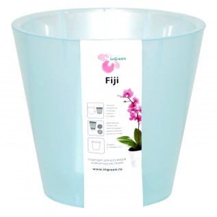 Ծաղկաման Fiji ING1558