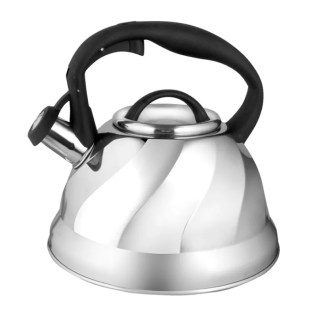 Թեյնիկ Webber BE-0525 3լ Սուլիչով