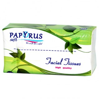 Անձեռոցիկ Papyrus 2շ 200հտ